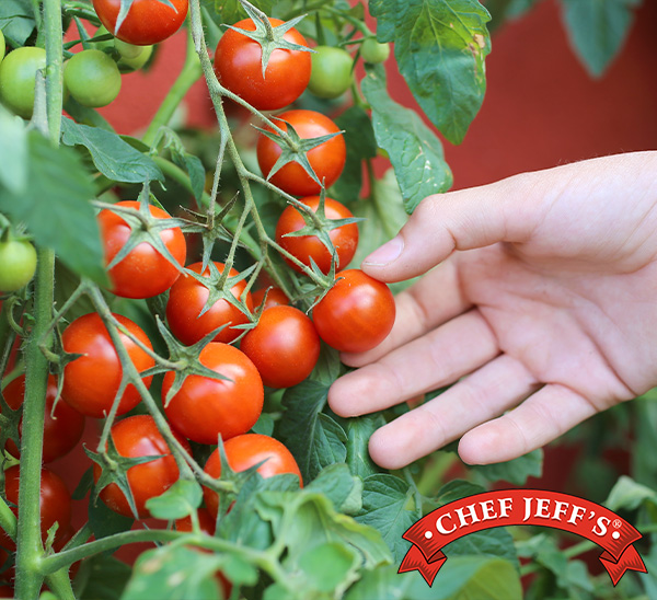 Chef Jeff's® Vegetables 