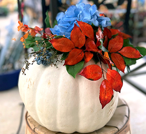 Decorated Pumpkins 