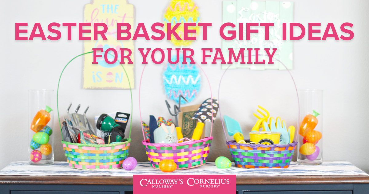 Easter Basket Gift Ideas for your Family Calloway s Nursery