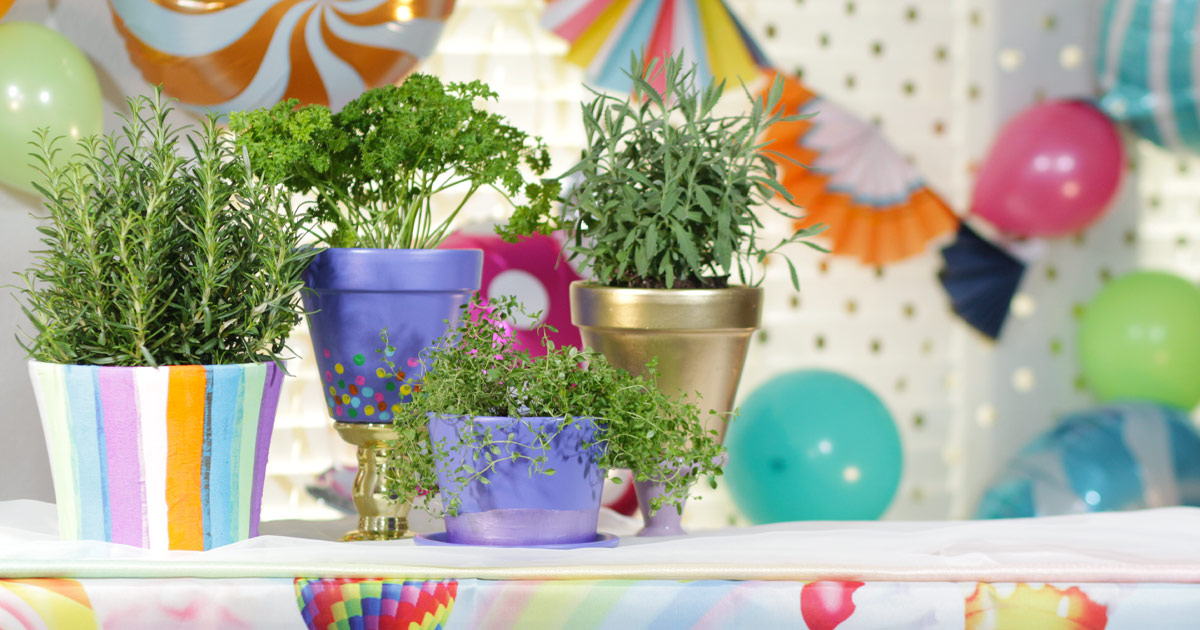 How to Grow an Edible Container Garden