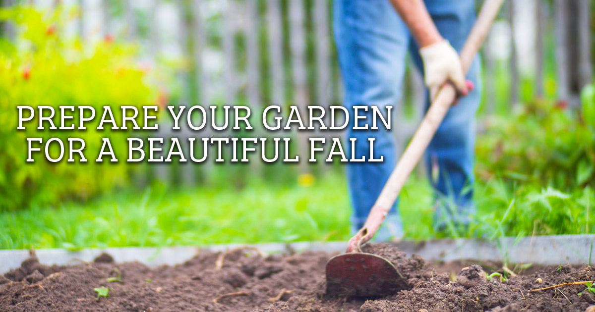 Fall Garden Prep: Essential Tips for a Thriving Spring Bloom