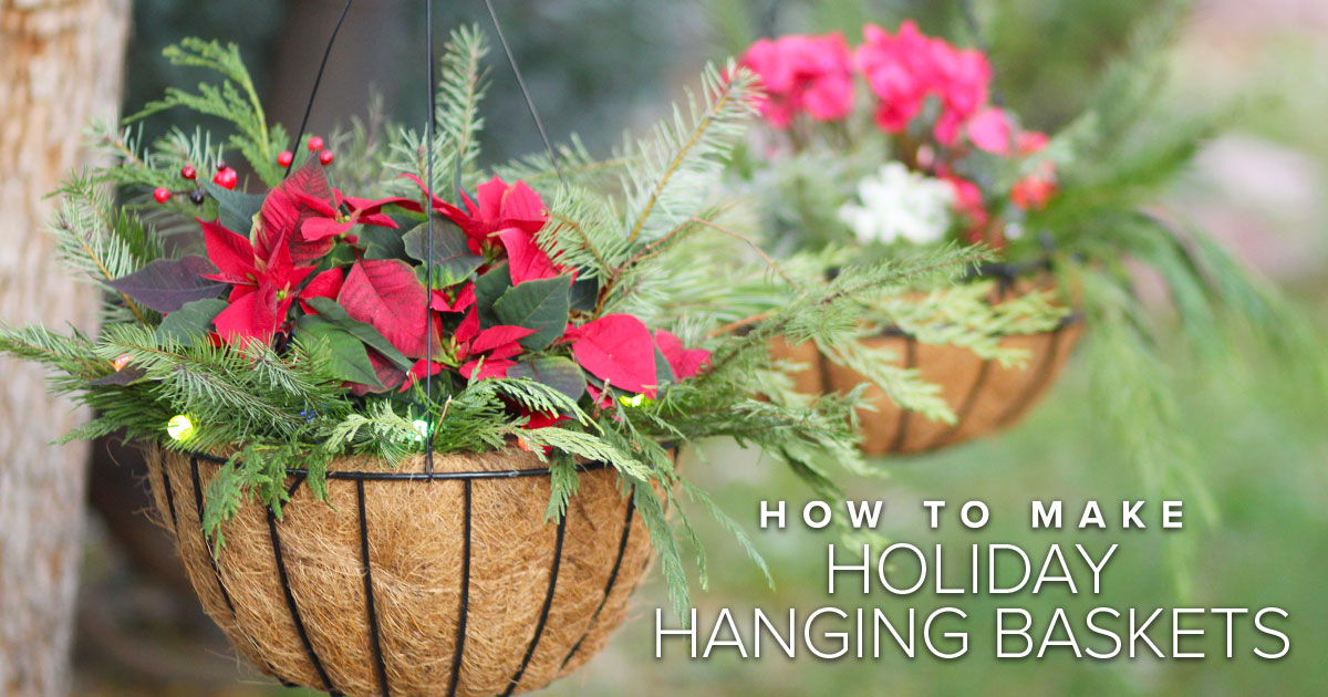 How To Make Holiday Hanging Baskets
