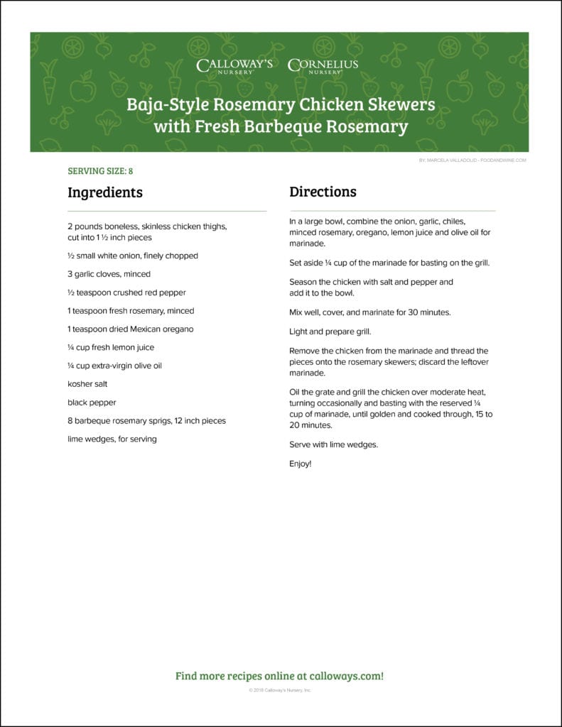 Rosemary Chicken Skewer Recipe