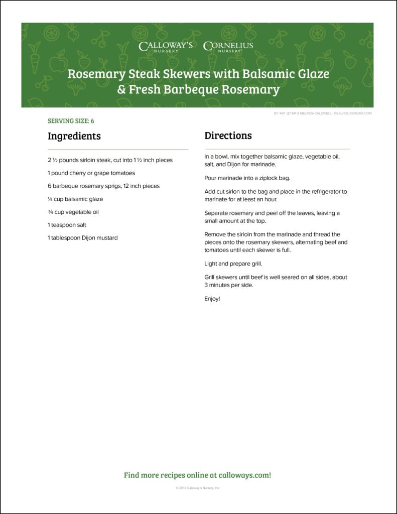 Rosemary Steak Skewer Recipe