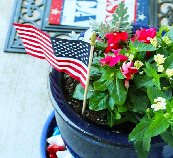 4th of july container garden