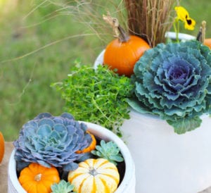 fall container gardens