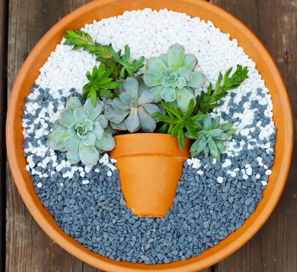 how to make succulent garden art