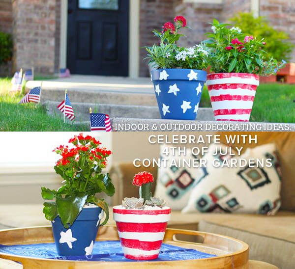 fourth of july container garden ideas