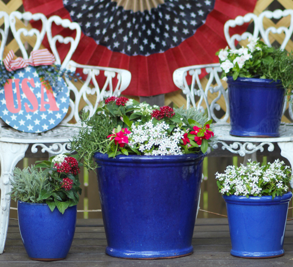 container gardens for the 4th of july