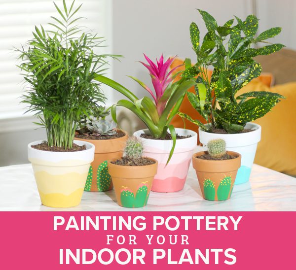 paint pottery for indoor plants