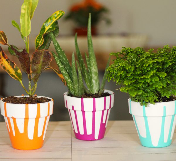 drip paint planters for indoor plants