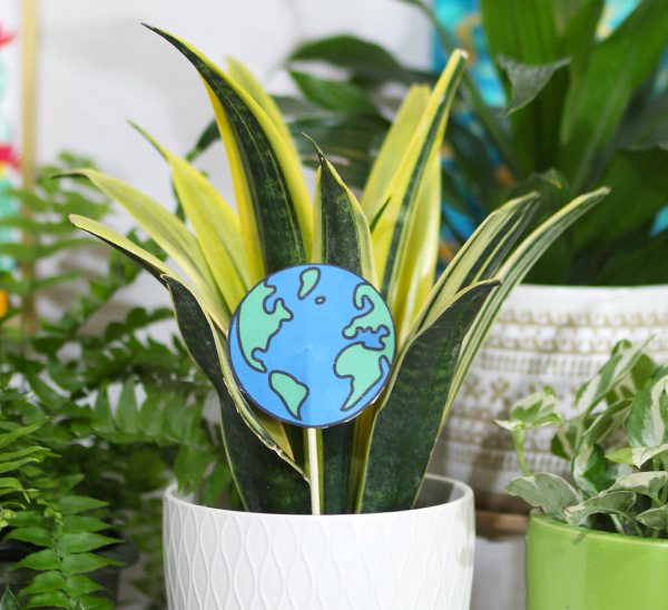 indoor plants for earth day