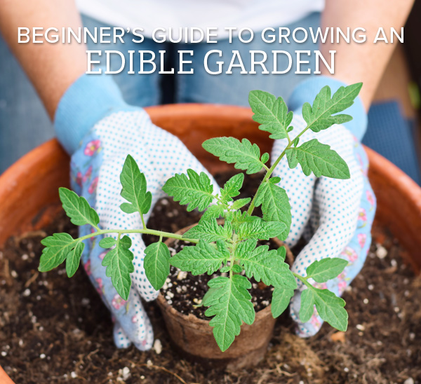 edible gardening tips