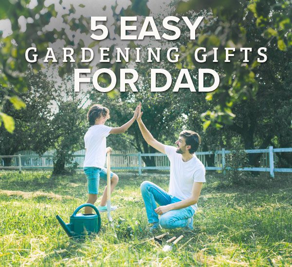 easy father's day gifts