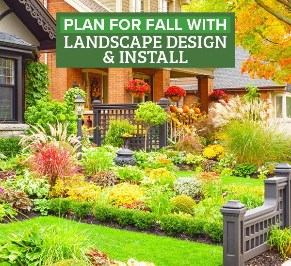 landscape design and install