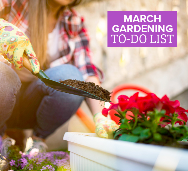 march gardening checklist