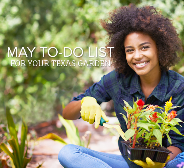 may gardening checklist