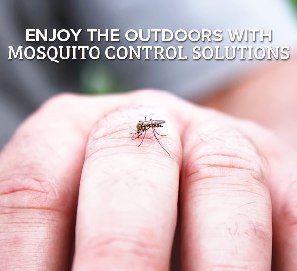 Outdoor Mosquito Control Solutions
