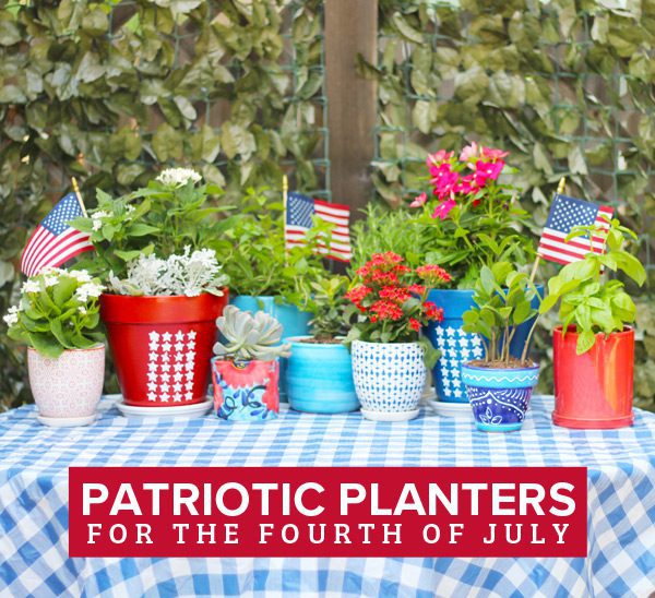 4th of july container gardens