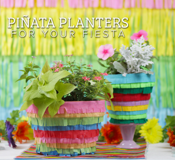 Creative Pinata Planter Ideas for Your Celebration