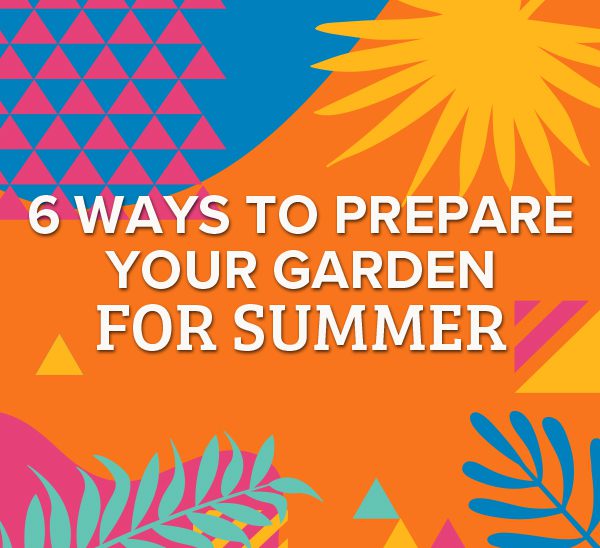 tips for your summer garden