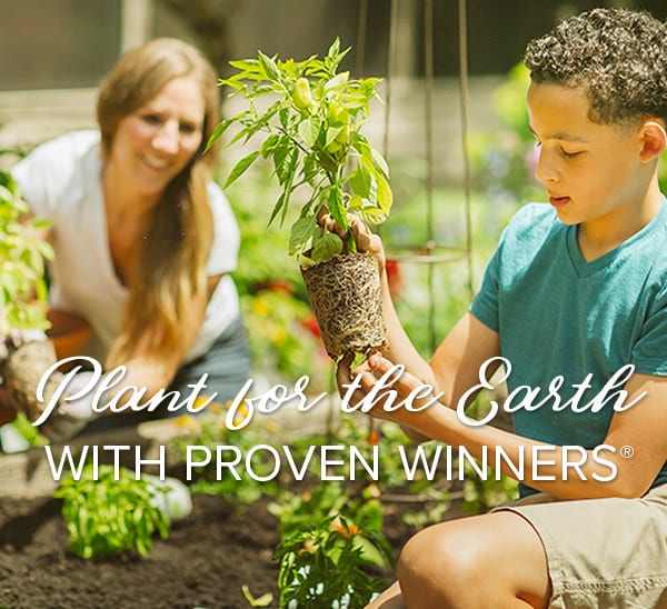 plant with proven winners