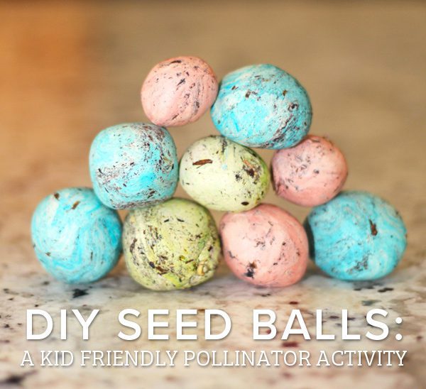 diy seed balls