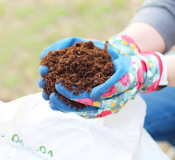 hand holding soil