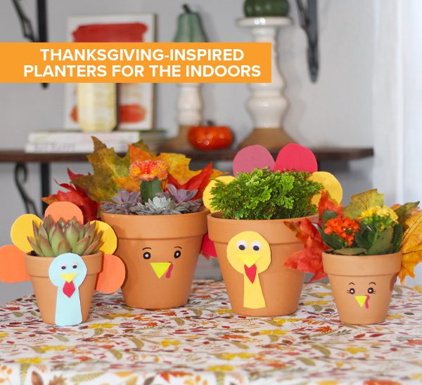 thanksgiving planters