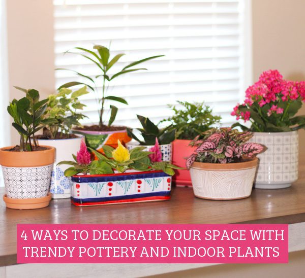 indoor plant decor