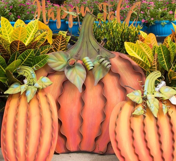 fall lawn decor