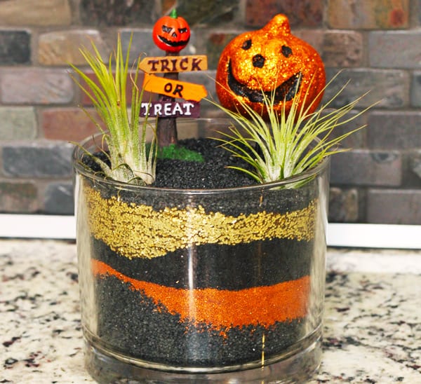 air plants for Halloween