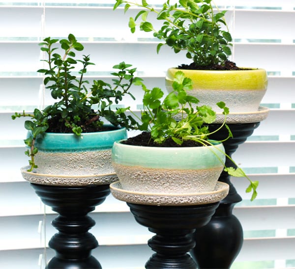 indoor herb garden tips