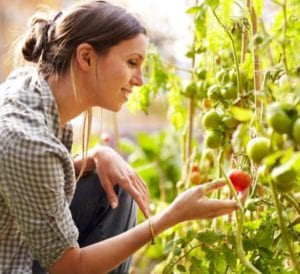 feature-plant-in-march1-opt