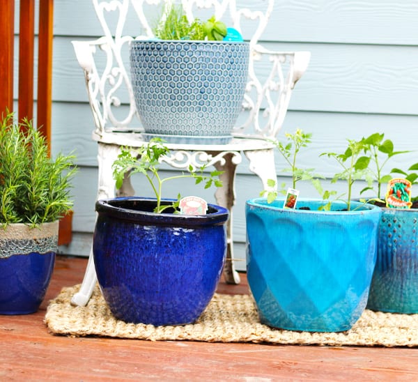 A variety of ceramic blue pottery in various shades, planted in a small garden