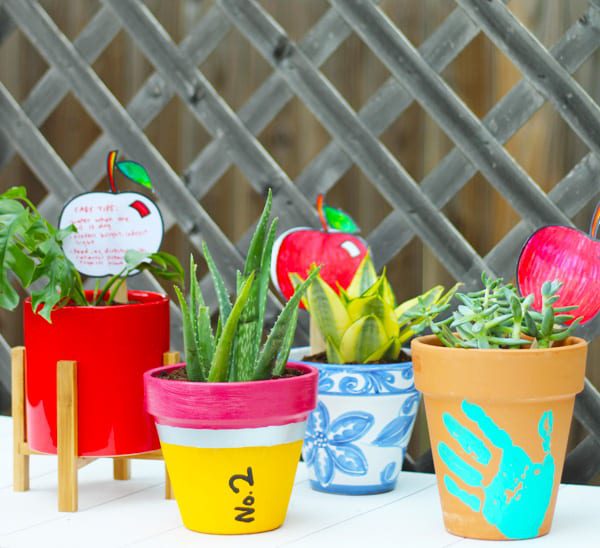 teacher gift ideas with plants