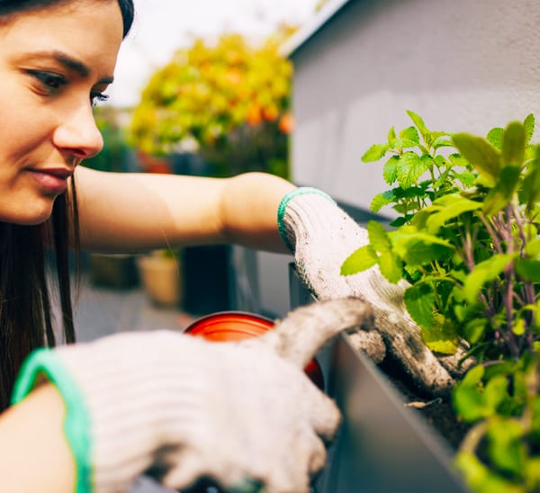 wellness garden