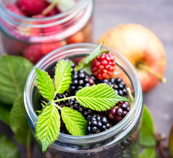 fruit and berry plants