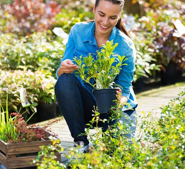 gardening