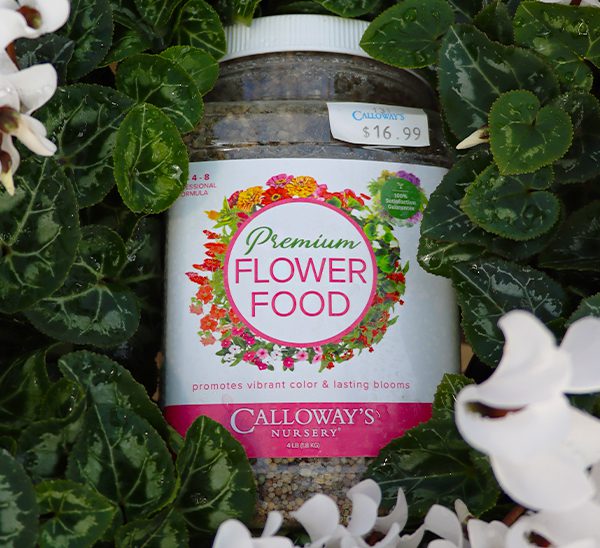 Calloway’s Premium Flower Food