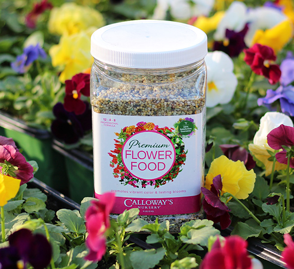 Link to Calloway’s Premium Flower Food	 product page