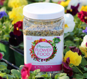 Calloway’s Premium Flower Food surrounded by Pansies
