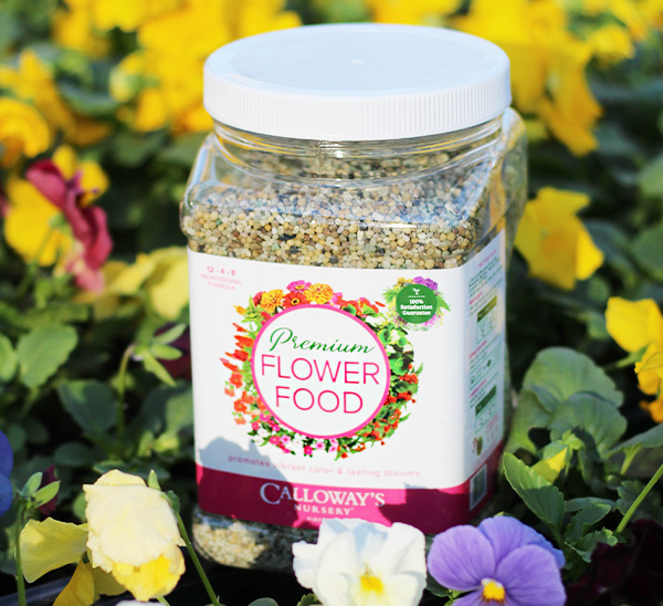 Link to Calloway’s Premium Flower Food product page