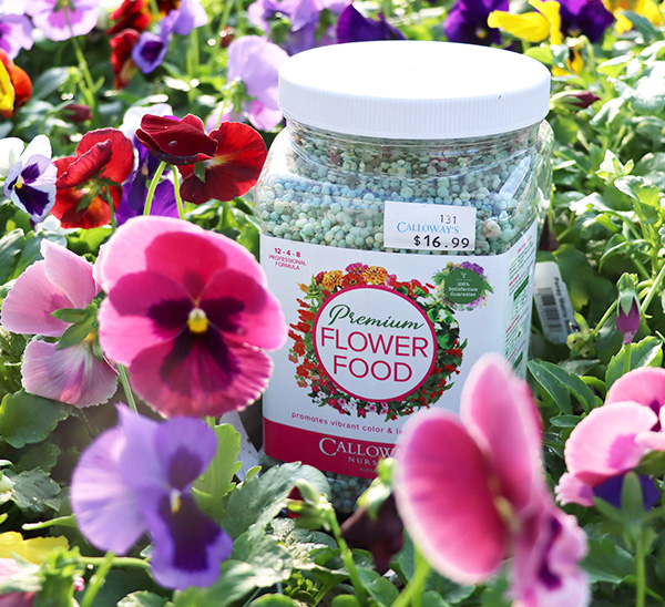 Calloway’s Premium Flower Food