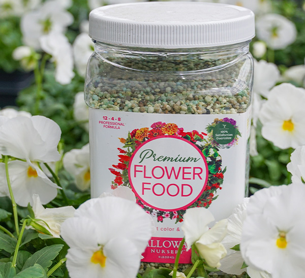 Calloway’s Premium Flower Food 