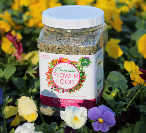 Link to Calloway’s Premium Flower Food product page