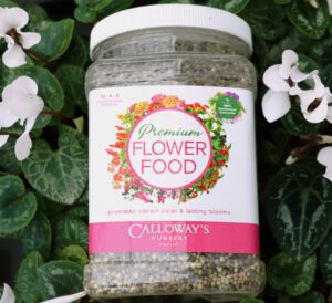 Premium Flower Food Fertilizer