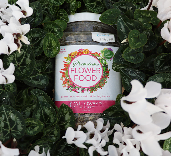 Calloway’s Premium Flower Food