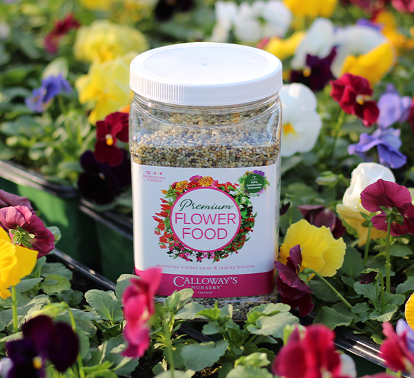 Calloway’s Premium Flower Food