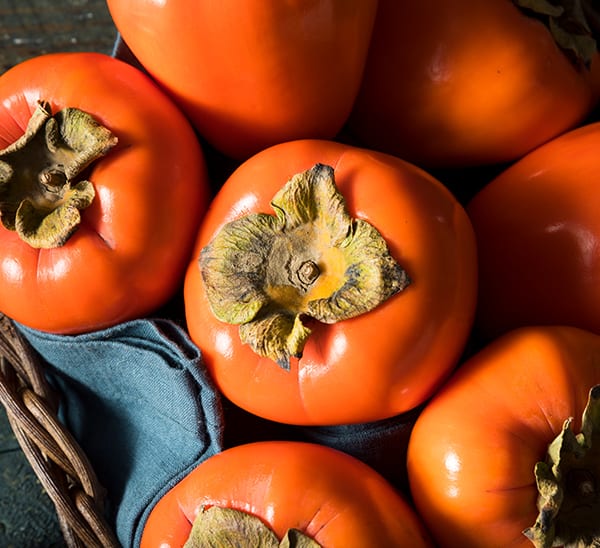 Fuyu Persimmon